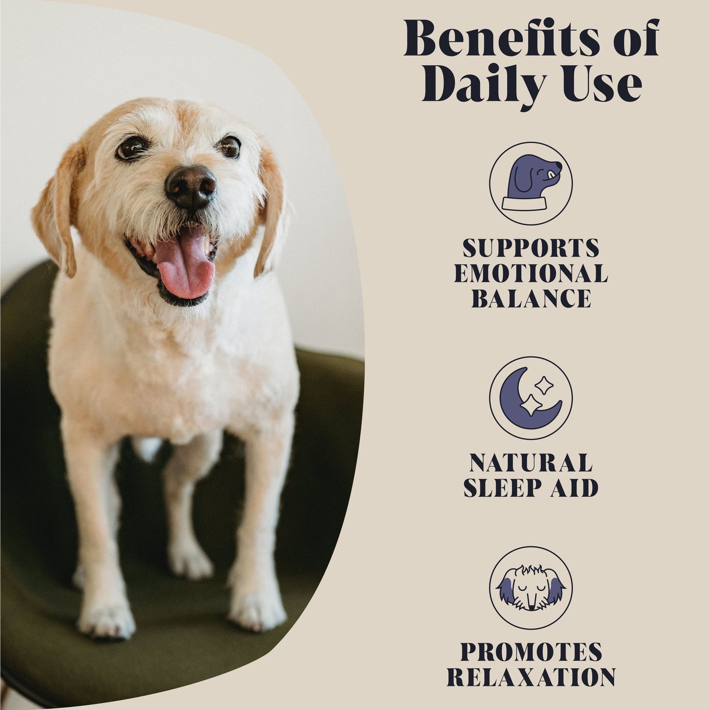 Single Pack | Calming Goats Milk for Dogs | Makes 12 Pints | (RRP: £18.95)