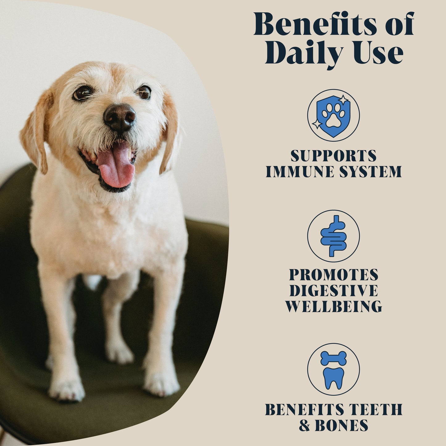 Single Pack | Goats Milk Powder for Dogs | Makes Six Pints (RRP: £16.95)
