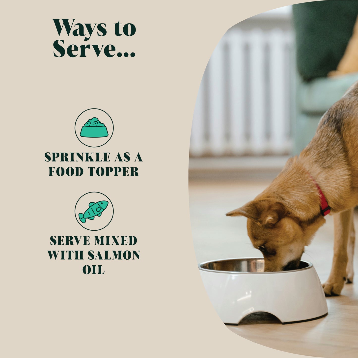 50 Pack Box | Green Lipped Mussel Powder for Dogs | 80 Servings | 30 Servings (RRP: £13.95 per unit)