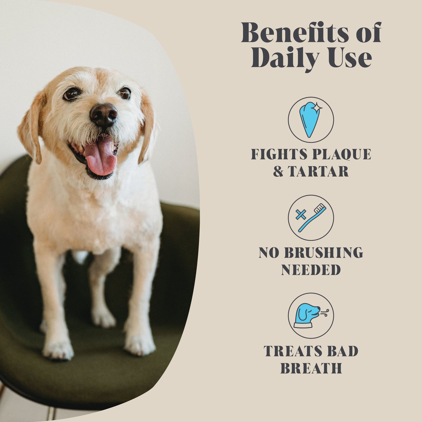 Single Pack | Plaque Seaweed Powder for Dogs | 120 Servings | (RRP: £9.95)