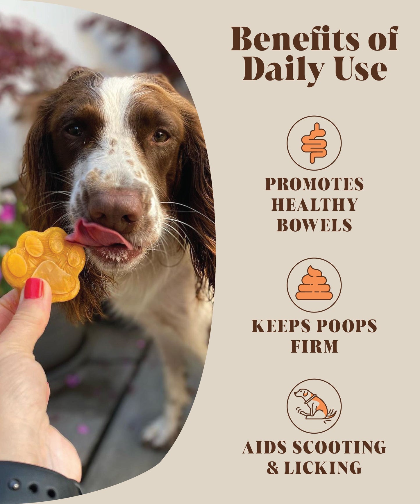 Single Pack | Pumpkin Puree Powder For Dogs | 30 Servings (RRP: £15.95)