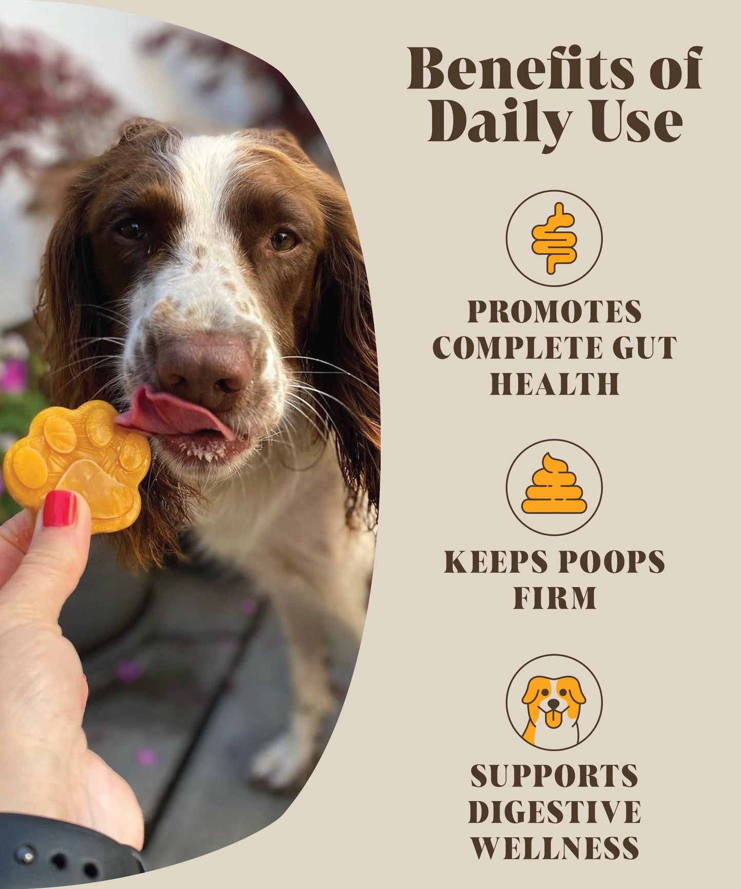 Single Pack | Pumpkin Probiotic For Dogs | 30 Servings (RRP: £18.95 per unit)